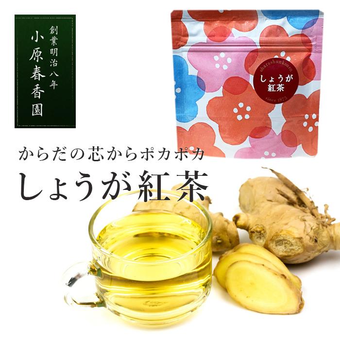 プチギフト 小原春香園 しょうが紅茶 紅茶 ティーバッグ ギフト おためし 生姜 しょうが 温活【キャンセル・返品・交換不可】【4点までメール便可能】 | 