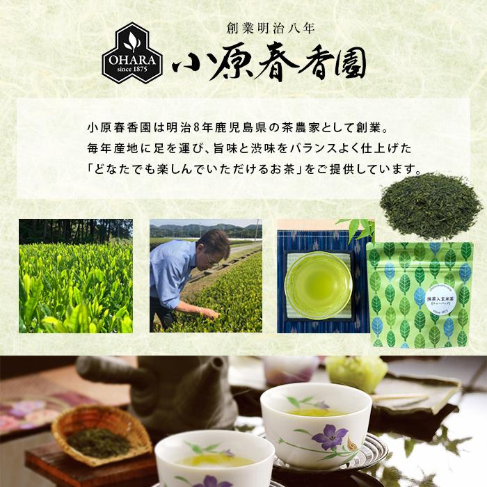 プチギフト 小原春香園 静岡 牧之原茶 緑茶 静岡茶 国産 ティーバッグ ギフト プレゼント おためし 【キャンセル返品不可】【4点までメール便可能】 |  | 01