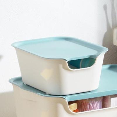 収納ボックスＫａｔａｓｕ（カタス）　フタ　Ｓ用　ホワイト　カラーボックス【1点までメール便可能】 |  | 01