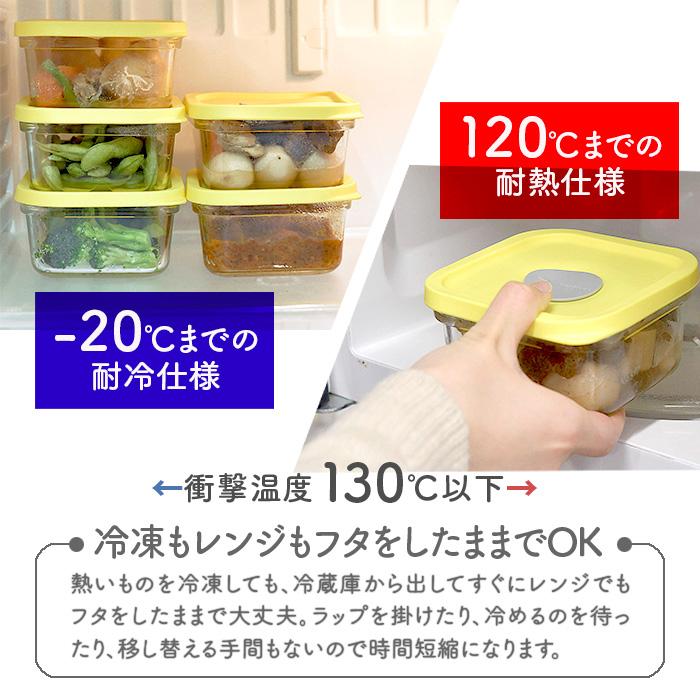 ラップいらず 割れにくい 耐熱ガラス容器 6点 セット フタごとレンチン