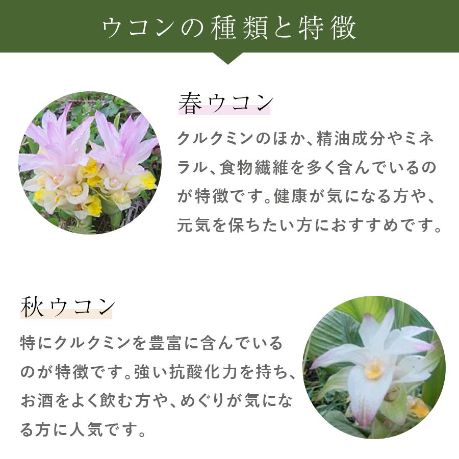 屋久島 春ウコン 600粒(2ヶ月分) 無添加（無着色 無香料 保存料不使用