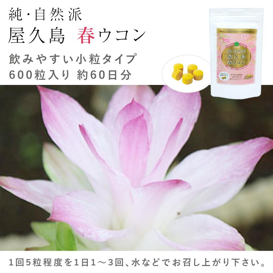屋久島 春ウコン 600粒(2ヶ月分) 無添加（無着色 無香料 保存料不使用