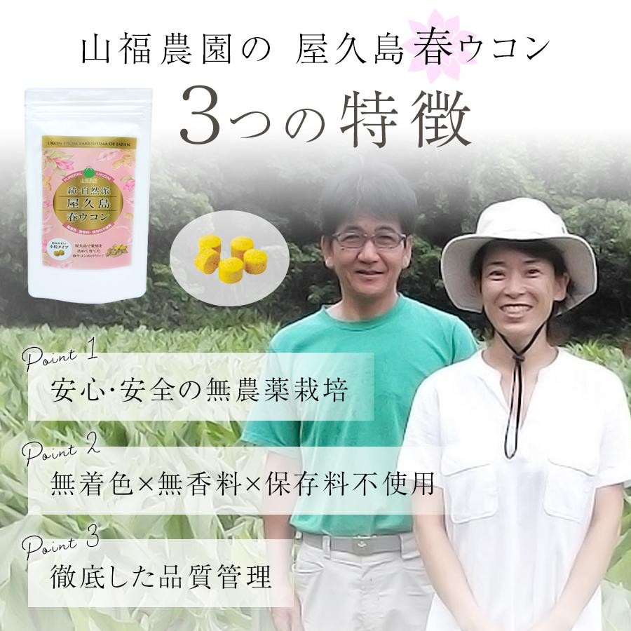 屋久島 春ウコン 600粒(2ヶ月分) 無添加（無着色 無香料 保存料不使用