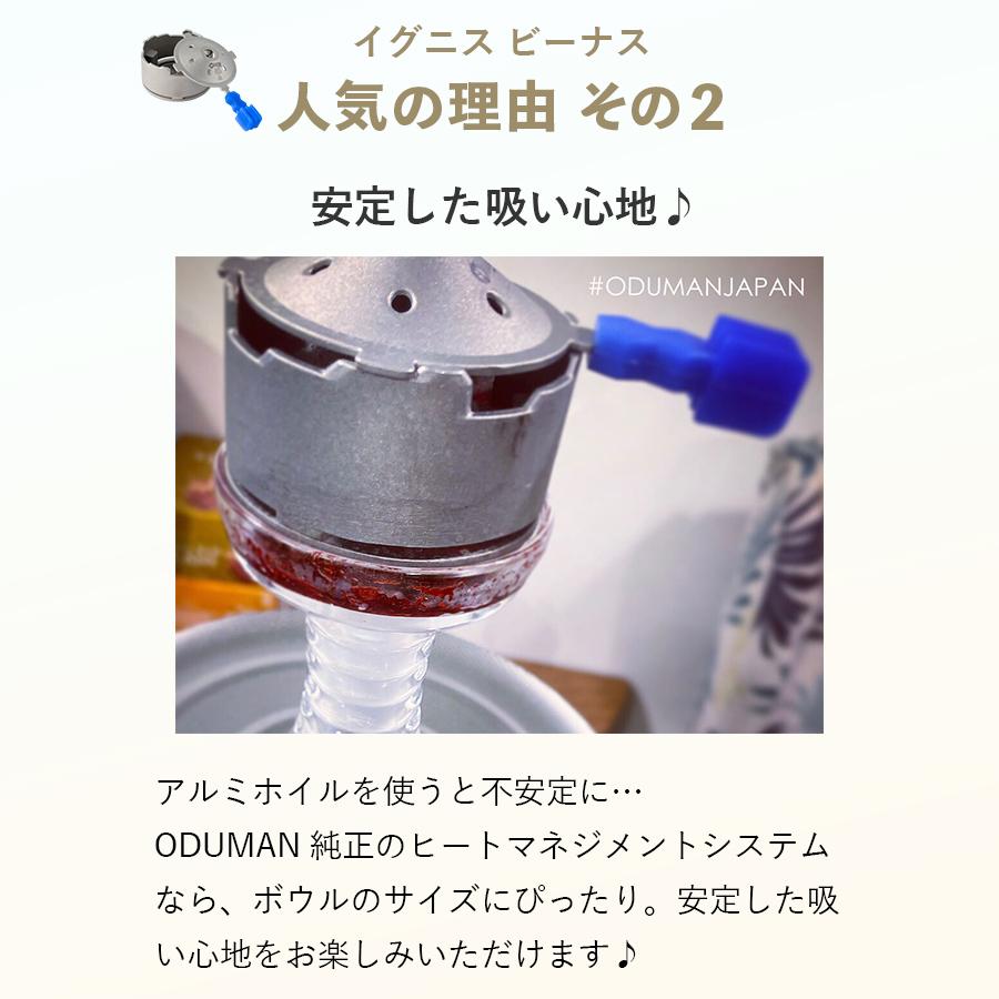 正規代理店】ODUMAN オデュマン ヒートマネジメントシステム イグニス