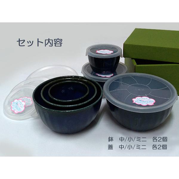 レンジパック 陶器 6個セット ネプチューン 保存容器 蓋付き 食器