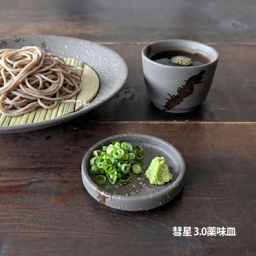 【専用】銀製 silver970 コースター 豆皿 ナッツ皿 おつまみ皿 10個 薬味皿 彗星 そば食器 小皿 豆皿 美濃焼 日本製 : みのさららヤフー店
