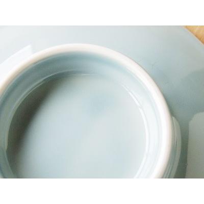 青彩 八角チャーハン皿 青磁 中華食器 中華皿 日本製 業務用食器 : み
