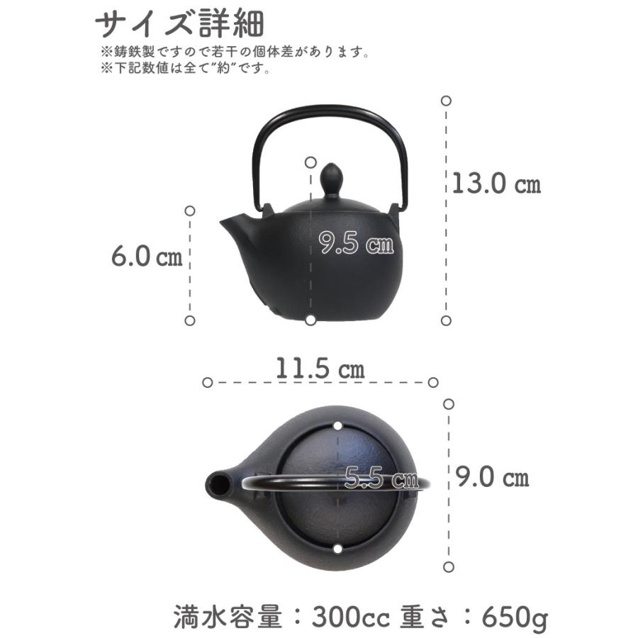 岩鋳（IWACHU） 急須 南部鉄器 ティーポット カラーポット マロン 艶