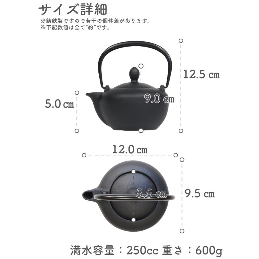 急須 南部鉄器 ティーポット カラーポット 岩鋳 ポワール ブラック 0.25L 日本製 おしゃれ 茶こし付き 鉄急須 かわいい ギフト 製品保証付き｜kitchengoods｜05