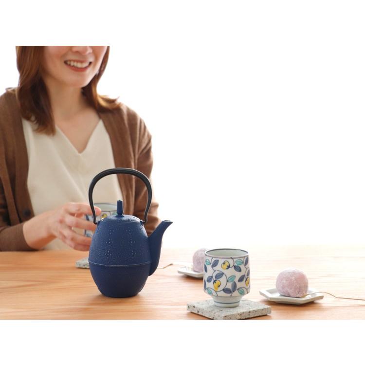 岩鋳（IWACHU） 急須 南部鉄器 ティーポット カラーポット らいす 黒