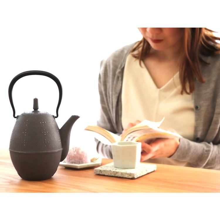 岩鋳（IWACHU） 急須 南部鉄器 ティーポット カラーポット らいす 黒