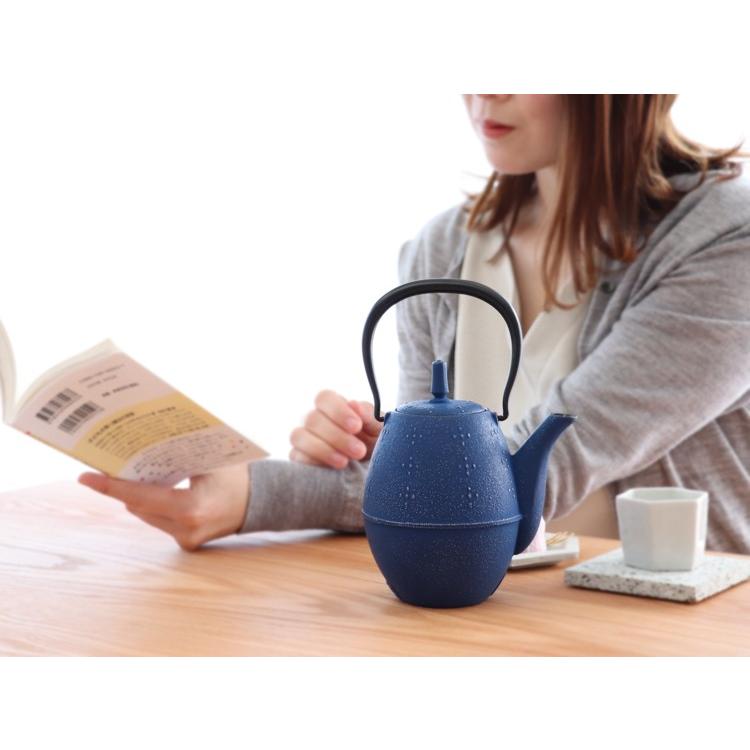 岩鋳（IWACHU） 急須 南部鉄器 ティーポット カラーポット らいす 黒