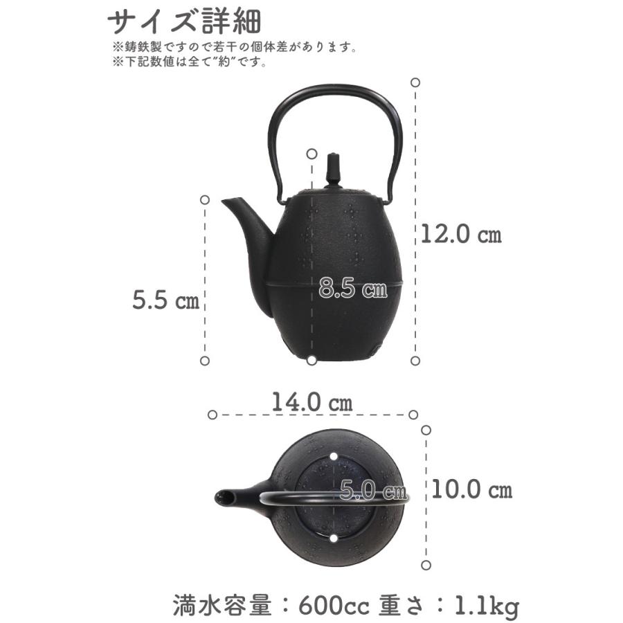 岩鋳（IWACHU） 急須 南部鉄器 ティーポット カラーポット らいす 黒