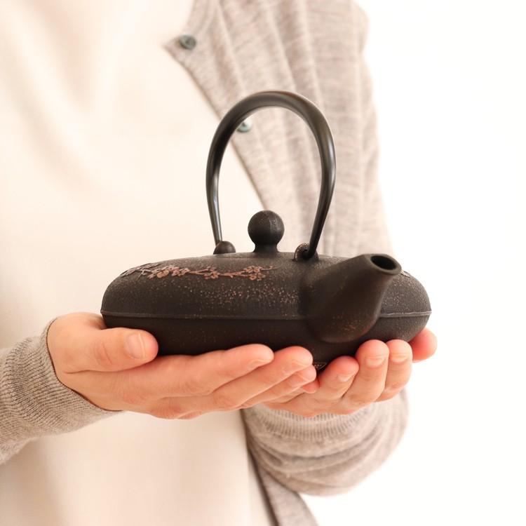 岩鋳（IWACHU） 急須 南部鉄器 ティーポット カラーポット 和さくら 銅