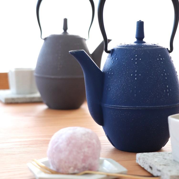 岩鋳 急須 南部鉄器 ティーポット カラーポット らいす 銀 岩鋳 急須 南部鉄器 ティーポット カラーポット らいす 銀