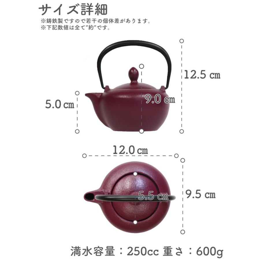 岩鋳 急須 南部鉄器 ティーポット カラーポット ポワール 赤紫 岩鋳 急須 南部鉄器 ティーポット カラーポット ポワール 赤紫