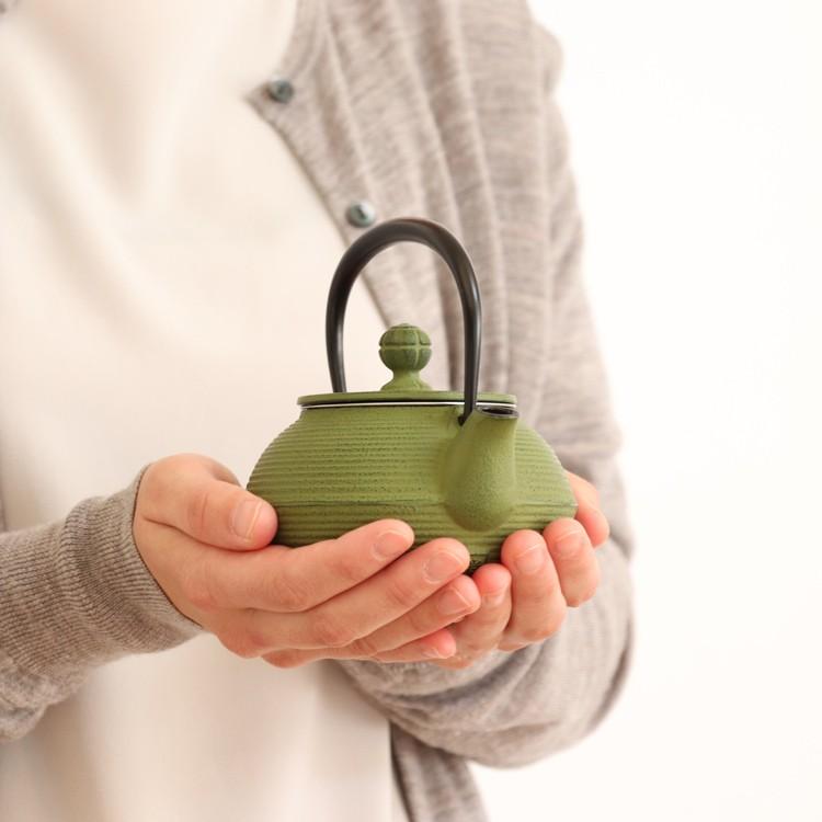 岩鋳（IWACHU） 急須 南部鉄器 ティーポット カラーポット 3型線引