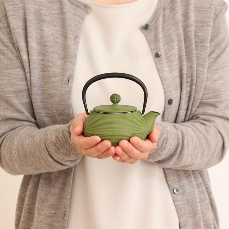 鉄瓶 3L」の人気商品一覧 | 安い商品を通販サイトから探す - 価格.com