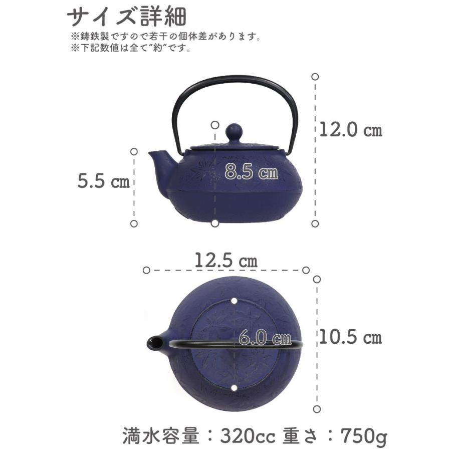 岩鋳 急須 南部鉄器 ティーポット カラーポット 3型カエデ 紫紺 0.32L  