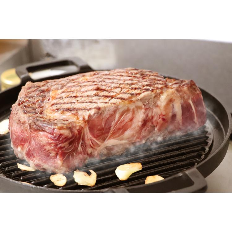 岩鋳（IWACHU） 保証書 パンフレット付 鉄板 焼肉プレート 南部鉄器