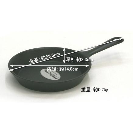 岩鋳（IWACHU） ファミリーパン 14cm スキレット 南部鉄器 日本製 IH