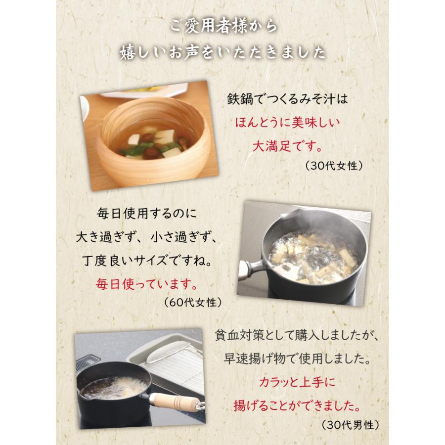 岩鋳（IWACHU） 片手鍋 南部鉄器 16cm 木柄付き ガラス蓋付き片手鍋