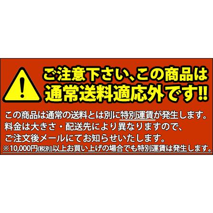 たこ焼き器　銅　ガス式たこ焼き器　2連セット　都市ガス　Ｂ　(18穴Ｘ2枚)（運賃別途）（km）