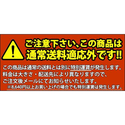 業務用 たこ焼き器 AKS たこ焼き・鉄板焼きセット Dタイプ 都市ガス（運賃別途_1000）（km）｜kitchenmarket｜02