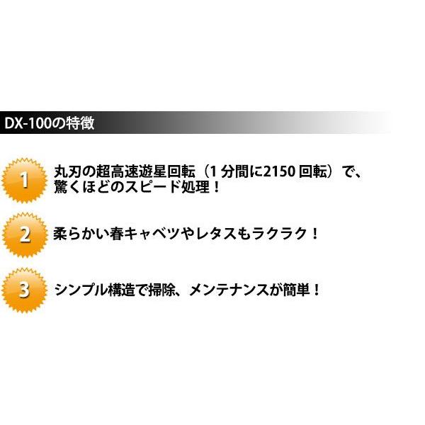 マルチスライサーDX-100（km）_2