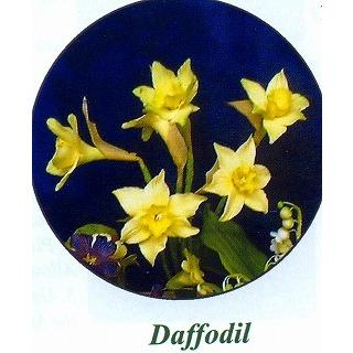 抜き型 水仙の花びら 2個　[DAF]　　シュガークラフト |  | 01