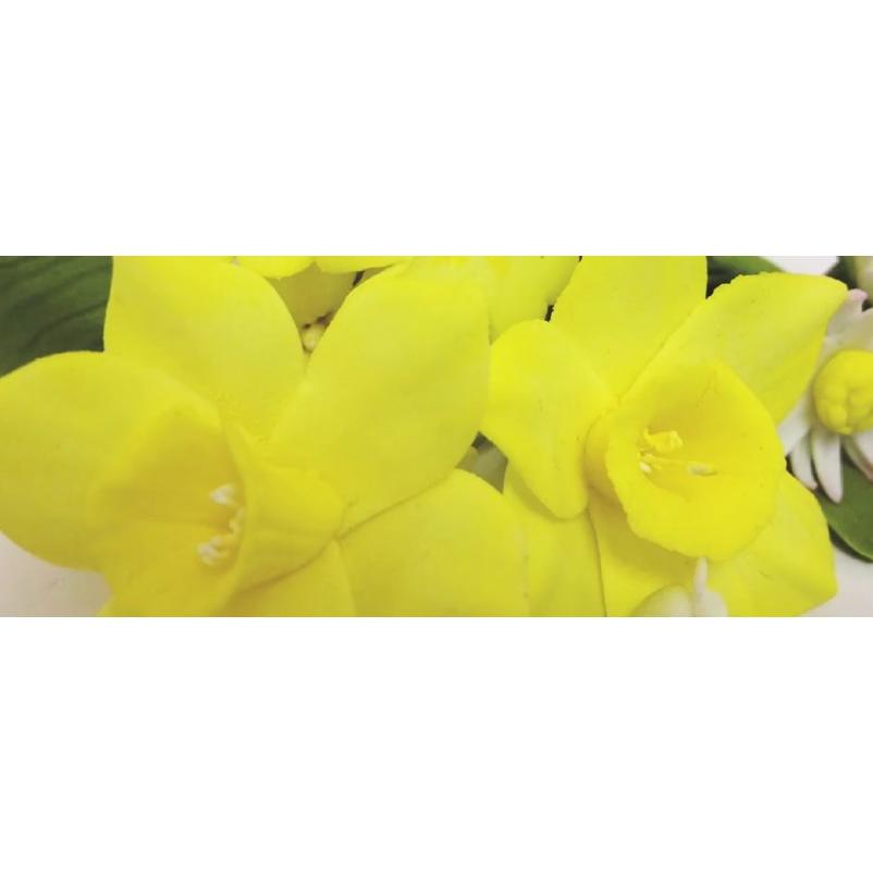 抜き型 水仙の花びら 2個　[DAF]　　シュガークラフト |  | 02