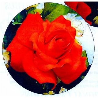 抜き型 5弁の花びら・65mm　[ROP65]　　シュガークラフト |  | 01