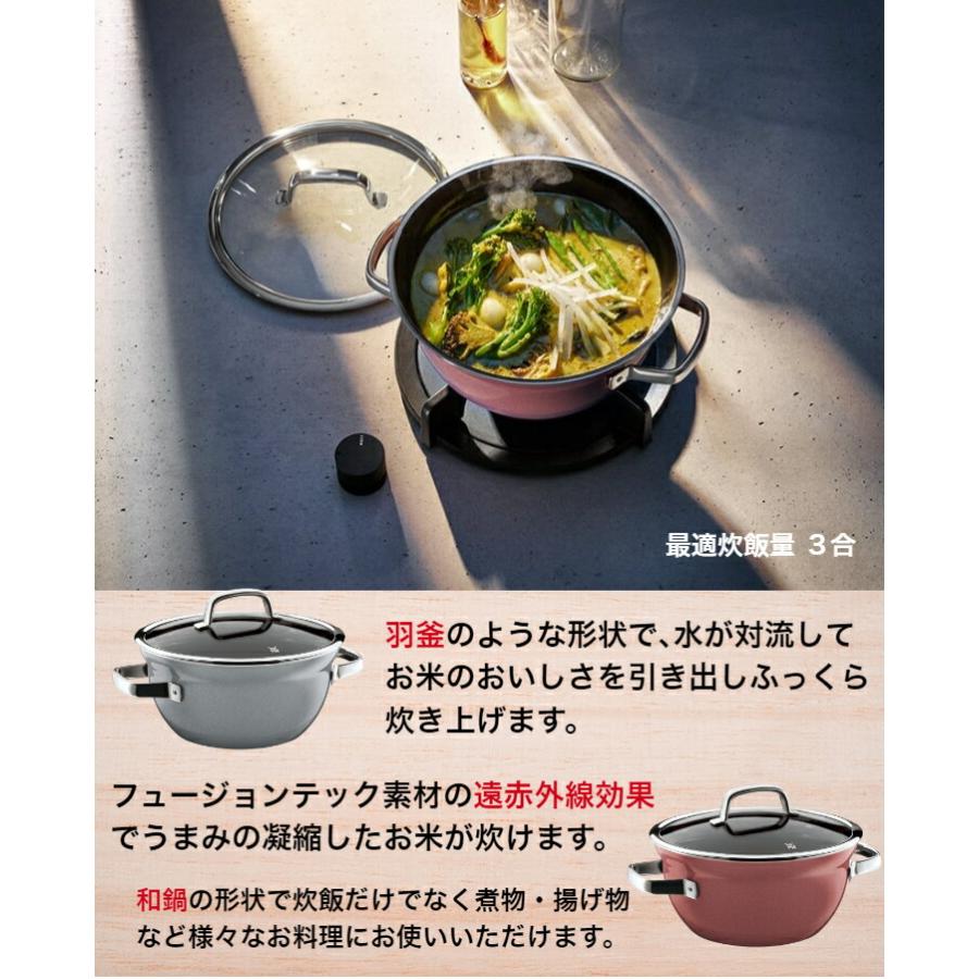 [選べる２大購入特典付] フュージョンテック ミネラル鍋 ライスポット 20cm WMF ヴェーエムエフ ごはん釜 3合炊き | WMF | 05