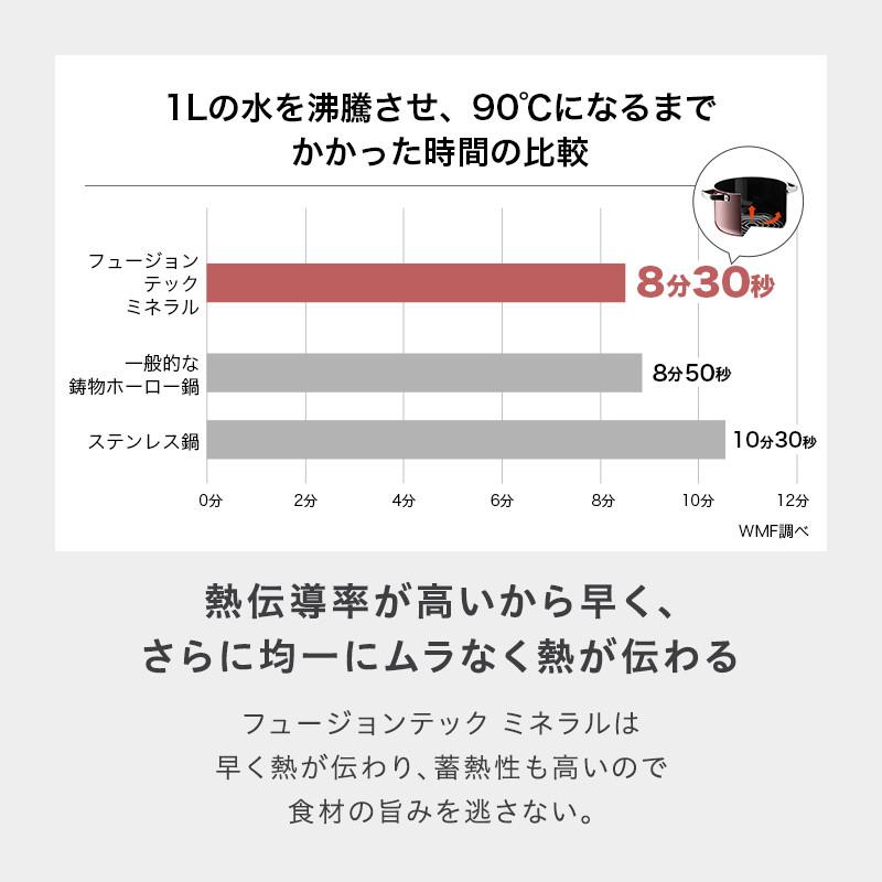[選べる2大購入特典付]フュージョンテック ミネラル ロースター WMF ヴェーエムエフ《メーカー10年保証》 |  | 13