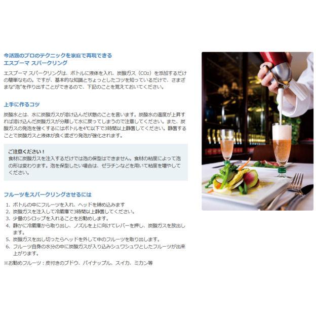 CO2 エスプーマ スパークリング Ｍ ステンレス　NTG日本炭酸瓦斯 |  | 03