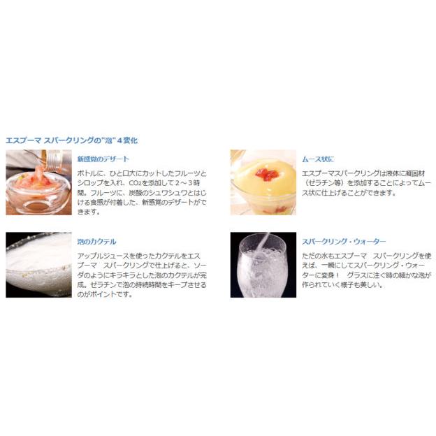 CO2 エスプーマ スパークリング Ｍ ステンレス　NTG日本炭酸瓦斯 |  | 05