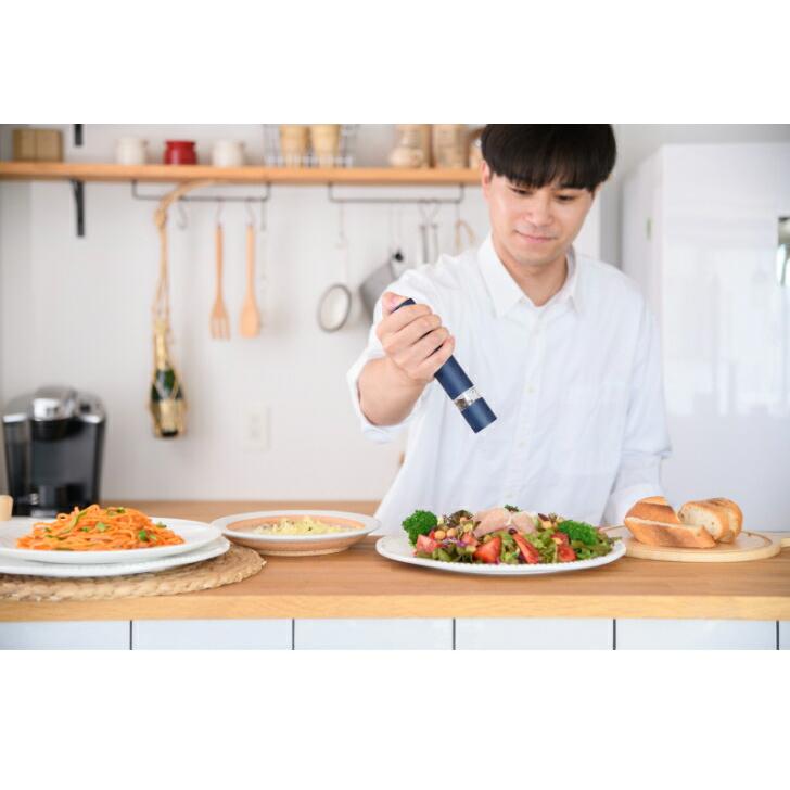 noted 電動ソルト＆ペッパーミル　セット　ウェルリッチ |  | 01