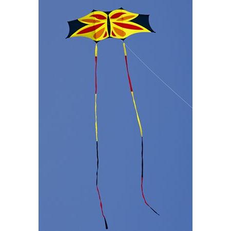 カイト/凧【Domann Genki】Butterfly 