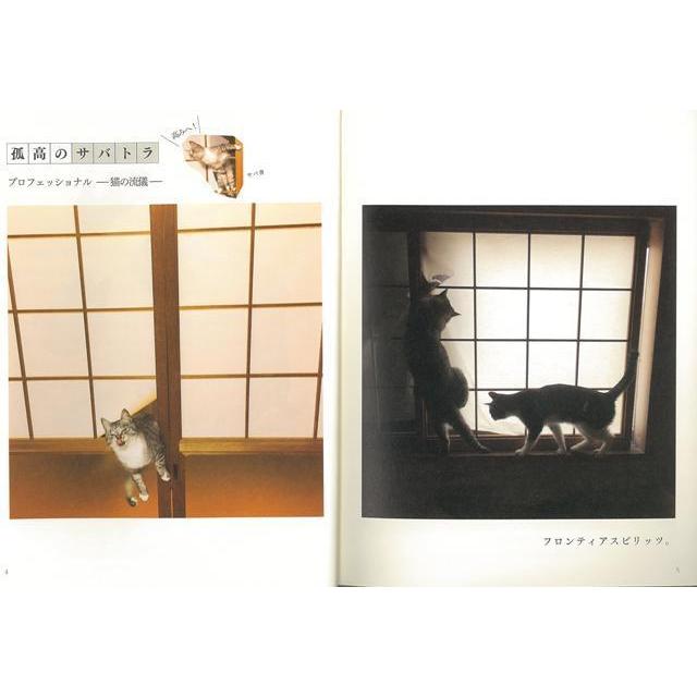 ココニャさんちの障子破り猫軍団 バーゲンブック ココニャ 河出書房新社 ホーム ライフ ペット ホーム ライフ 家族 写真 エッセイ フォトエッセイ 時代 写 アジアンモール ヤフー店 通販 Yahoo ショッピング