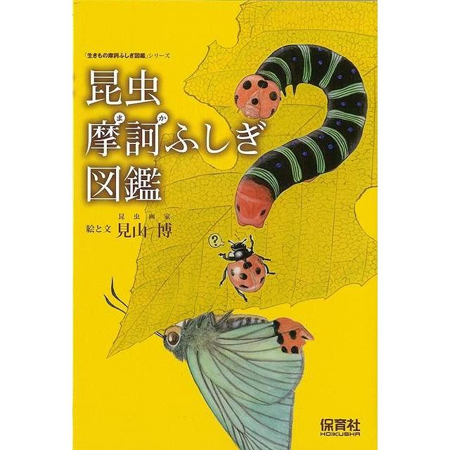 昆虫摩訶ふしぎ図鑑 バーゲンブック 見山 博 保育社 理学 工学 生物 動物 生命科学 図鑑 イラスト 大人 科学 子ども 昆虫 アジアンモール ヤフー店 通販 Yahoo ショッピング