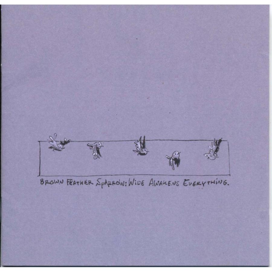 BROWN FEATHER SPARROW - Wide Awakens Everything | 