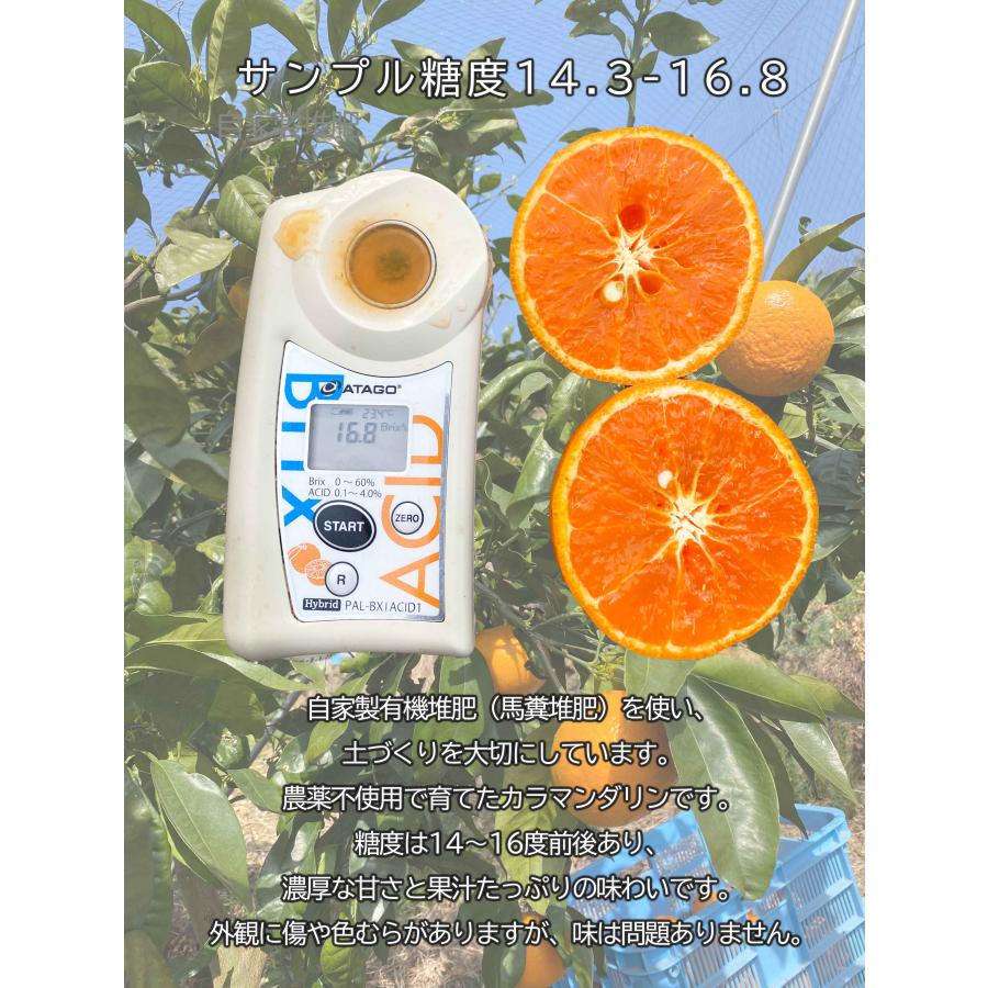 カラマンダリン サイズ混合10kg 農薬不使用 ご家庭用 送料込み【愛媛県