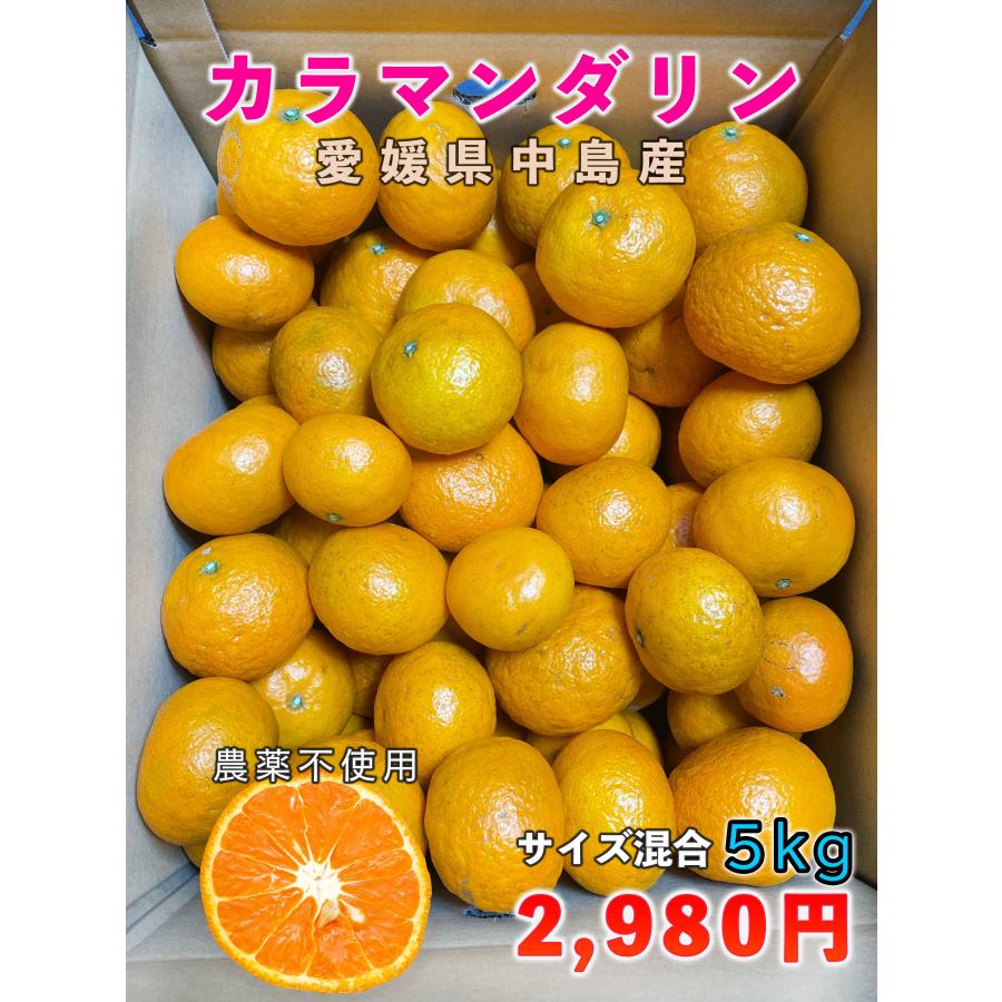 カラマンダリン　サイズ混合5kg  農薬不使用　ご家庭用　送料込み【愛媛県中島産】（Yahoo!・島馬ファーム瀬戸内）
