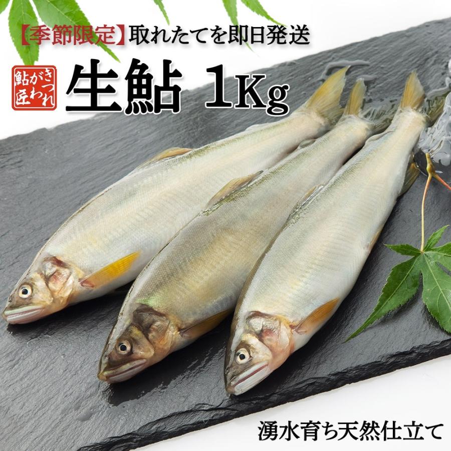 生鮎 1kg 湧水育ち 鮎 天然仕立て バーベキュー 食材セット 魚 鮎の塩焼き 季節限定 6月 11月 ギフト Namaayu 001 きつれがわの鮎 匠 通販 Yahoo ショッピング