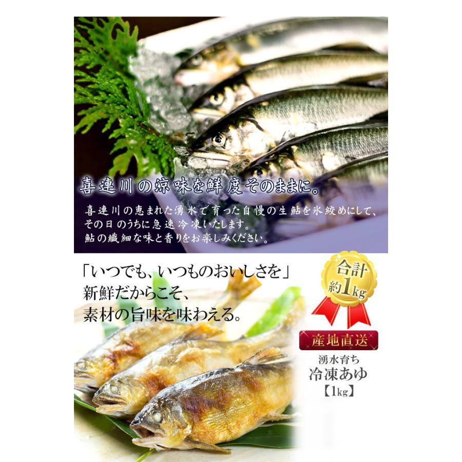 冷凍鮎 1kg 栃木県 喜連川 湧水育ち 鮎 塩焼き 小分け バーベキュー 焼き魚 川魚 ギフト 贈答品｜kitsuregawa-ayu｜02