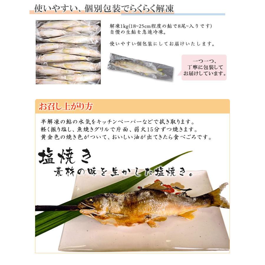 冷凍鮎 1kg 栃木県 喜連川 湧水育ち 鮎 塩焼き 小分け バーベキュー 焼き魚 川魚 ギフト 贈答品｜kitsuregawa-ayu｜03