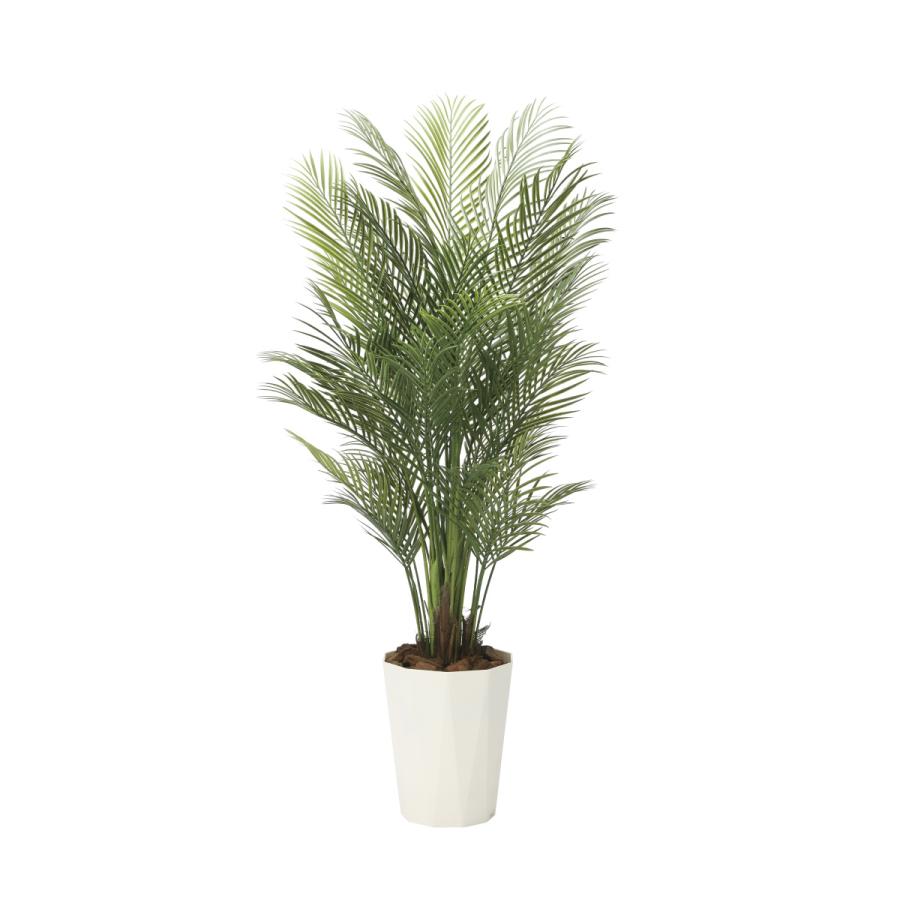 人工観葉植物　光触媒加工　アレカパーム1.7ｍ　　代引き不可　フェイクグリーン　　　送料無料