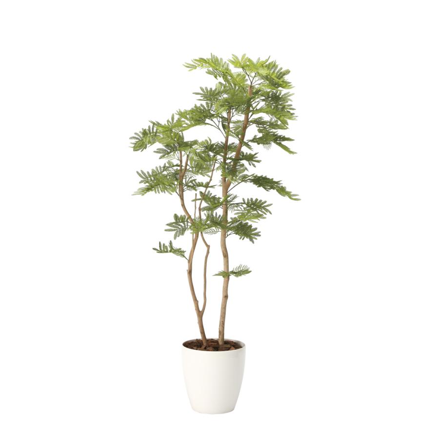 人工観葉植物　光触媒加工　ねむの木1.6ｍ【代引き不可】フェイクグリーン
