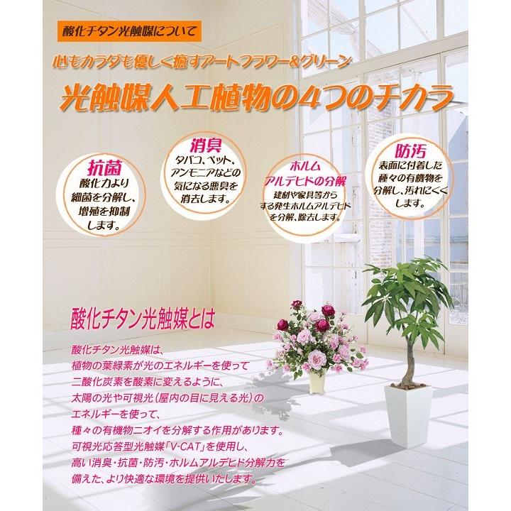 フェイクグリーン インテリア 光触媒 ゴールドクレスト１.４ 観葉植物 造花 装飾_1