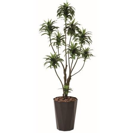 人工観葉植物】【ドラセナコンパクタ】【1.6m】【光触媒加工】【送料 